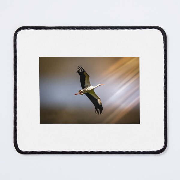 Item preview, Stork flying high designed and sold by Mothboybrown.