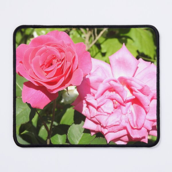 Item preview, Roses designed and sold by priesterjen.