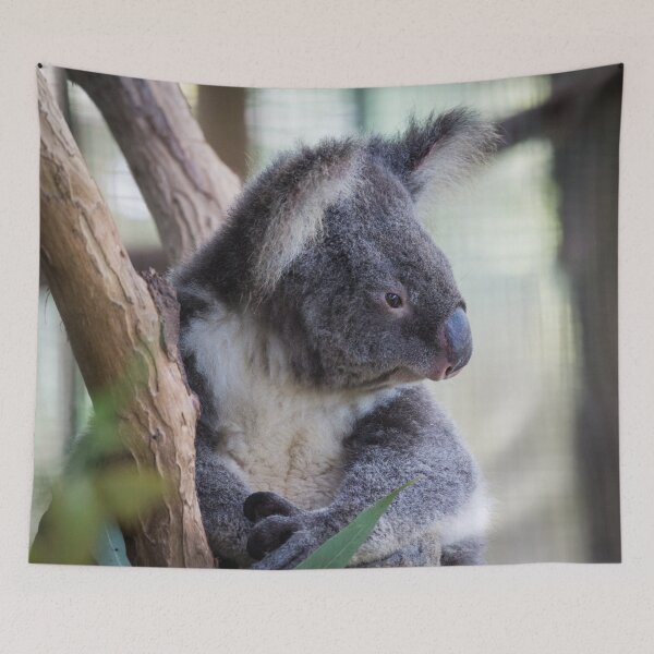 Item preview, Slumbering in the Eucalyptus designed and sold by Warren Morgan.