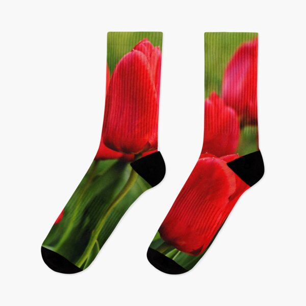 Aperçu de l'œuvre Bouquet de tulipes rouges créée et vendue par Michaelerch.
