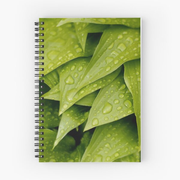 Item preview, Foliage with rain drops designed and sold by Michaelerch.