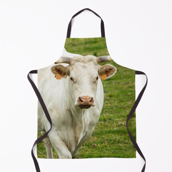Artikelvorschau, Charolais-Kuh II entworfen und verkauft von Jane Stanley Photography.
