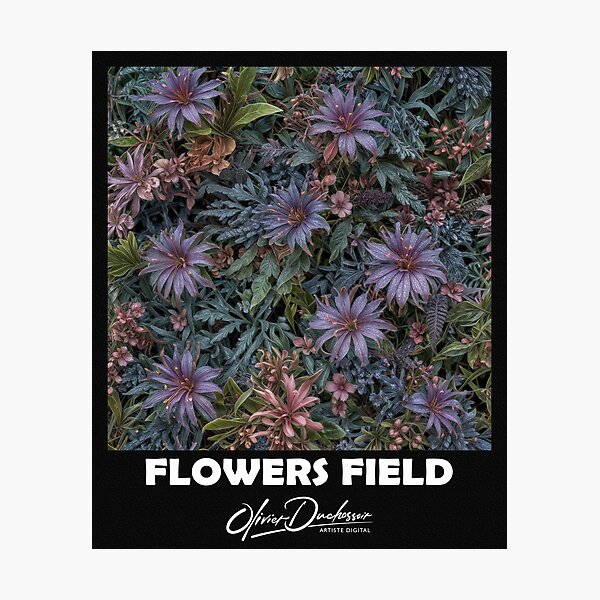 Aperçu de l'œuvre Flowers field 72 créée et vendue par olivier duchossoir.