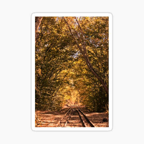 Item preview, The Old Railway designed and sold by Cissa King Photography.