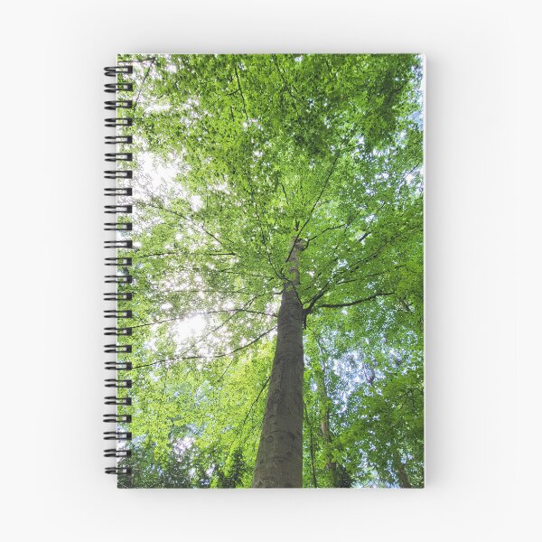 Item preview, Treetop designed and sold by MH-MediaMind.