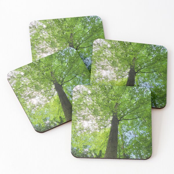 Item preview, Treetops designed and sold by MH-MediaMind.