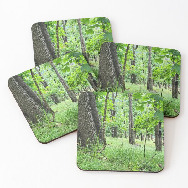Item preview, Forest designed and sold by MH-MediaMind.