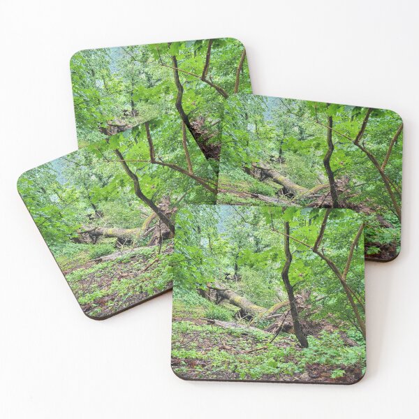 Item preview, Forest designed and sold by MH-MediaMind.
