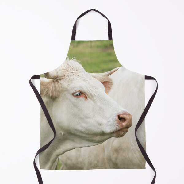 Artikelvorschau, Charolais-Kuh III entworfen und verkauft von Jane Stanley Photography.