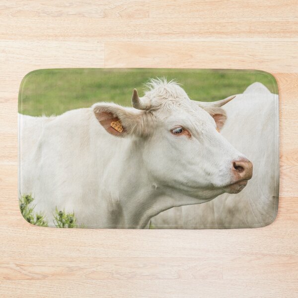 Artikelvorschau, Charolais-Kuh III entworfen und verkauft von Jane Stanley Photography.