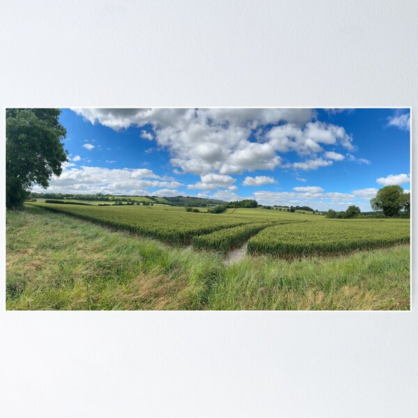 Item preview, Wheat Field Panorama designed and sold by Alex Cassels.