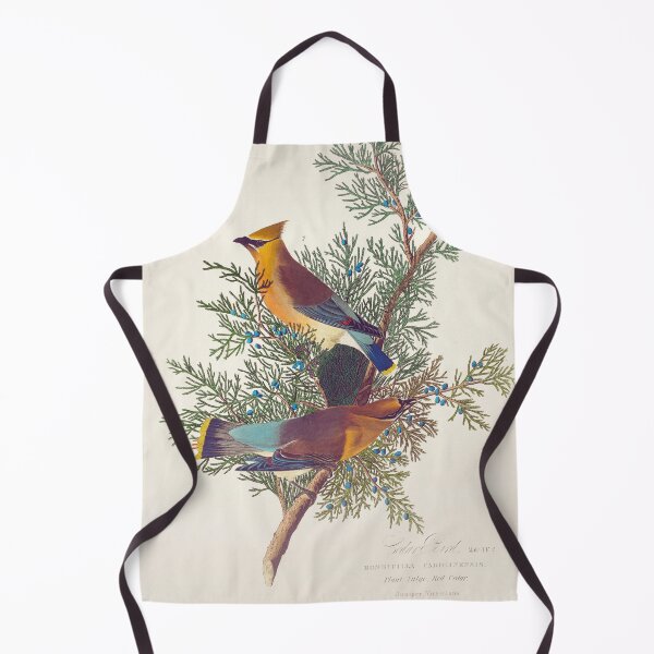 Item preview, Vintage Cedar Bird Illustration | P378 designed and sold by Piccolo Fiore Prints.