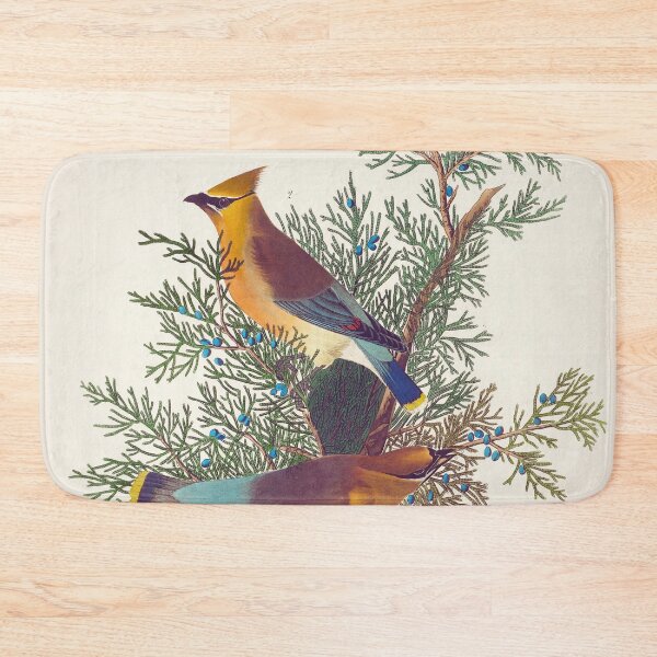 Item preview, Vintage Cedar Bird Illustration | P378 designed and sold by Piccolo Fiore Prints.