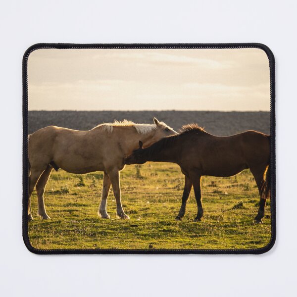 Item preview, Sunset Horses Grazing on Northam Burrows designed and sold by twymanphoto.