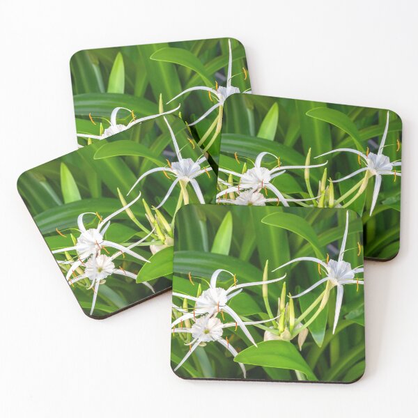 Item preview, Copy of White Spyder Lilies X1320 designed and sold by RichFrancoCars.
