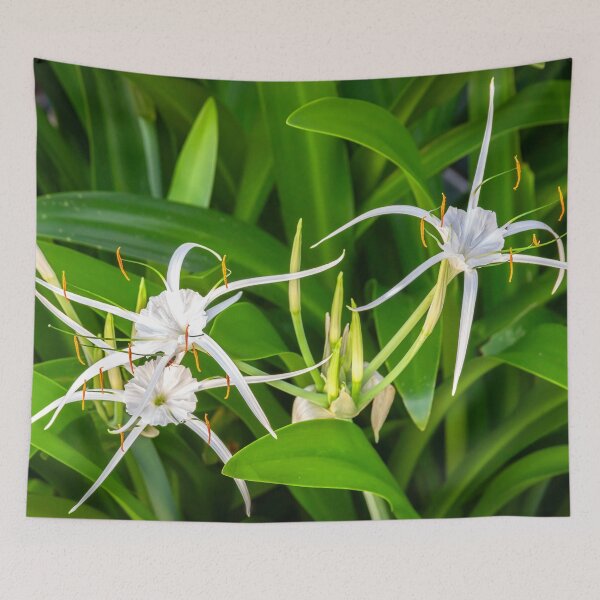Item preview, Copy of White Spyder Lilies X1320 designed and sold by RichFrancoCars.