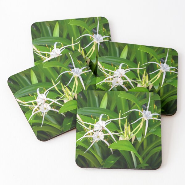 Item preview, White Spyder Lilies X136 designed and sold by RichFrancoCars.
