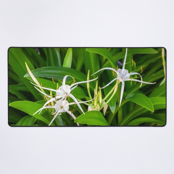 Item preview, White Spyder Lilies X136 designed and sold by RichFrancoCars.