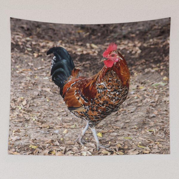 Item preview, Who's Following Me? designed and sold by heatherfriedman.