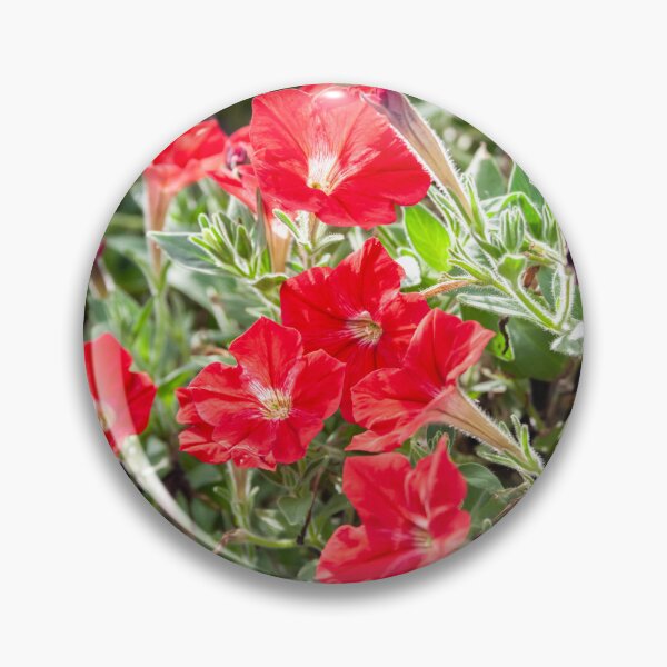 Item preview, Red Vinca Flowers Periwinkles X102 designed and sold by RichFrancoCars.