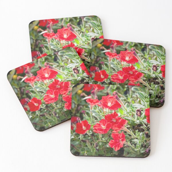 Item preview, Red Vinca Flowers Periwinkles X102 designed and sold by RichFrancoCars.