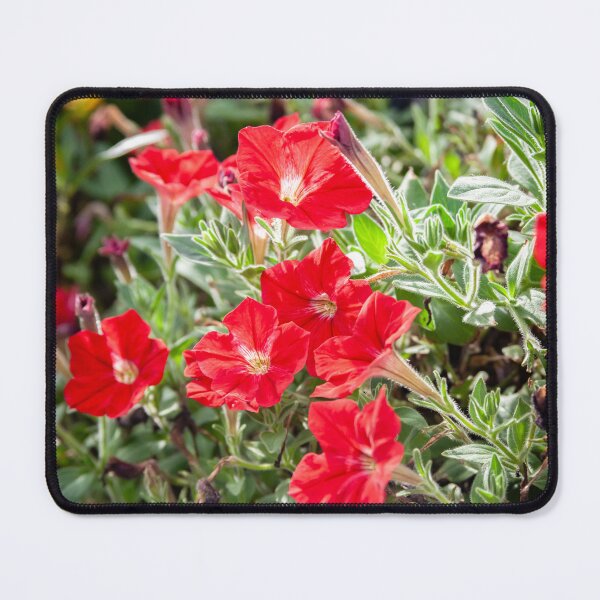 Item preview, Red Vinca Flowers Periwinkles X102 designed and sold by RichFrancoCars.