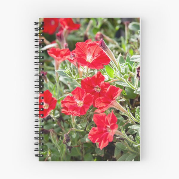 Item preview, Red Vinca Flowers Periwinkles X102 designed and sold by RichFrancoCars.