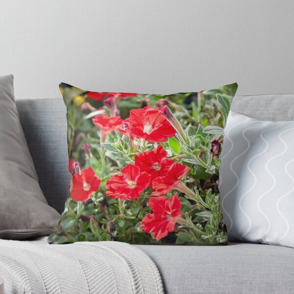 Item preview, Red Vinca Flowers Periwinkles X102 designed and sold by RichFrancoCars.