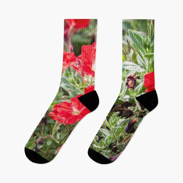 Item preview, Red Vinca Flowers Periwinkles X102 designed and sold by RichFrancoCars.