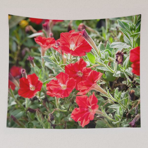 Item preview, Red Vinca Flowers Periwinkles X102 designed and sold by RichFrancoCars.