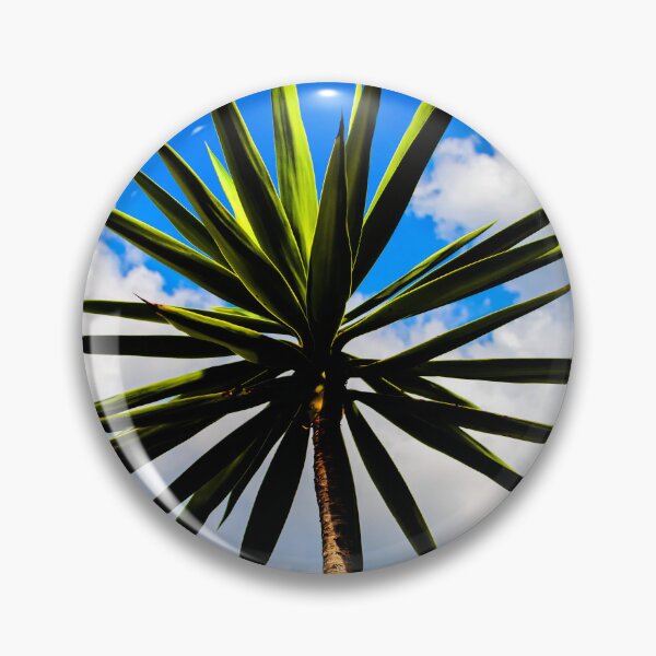 Item preview, Yucca plant Spanish Bayonet 115 designed and sold by RichFrancoCars.
