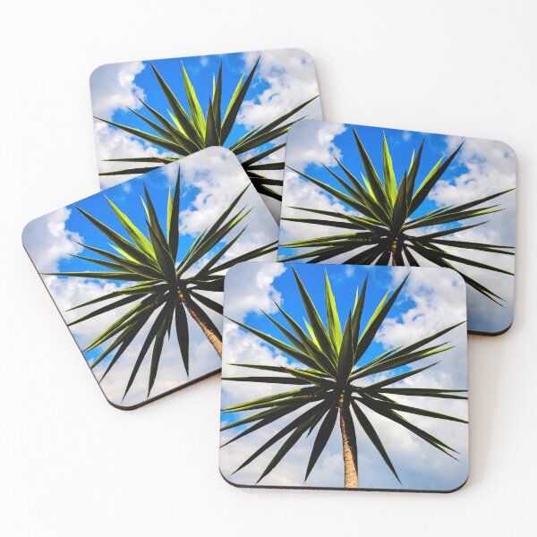 Item preview, Yucca plant Spanish Bayonet 115 designed and sold by RichFrancoCars.