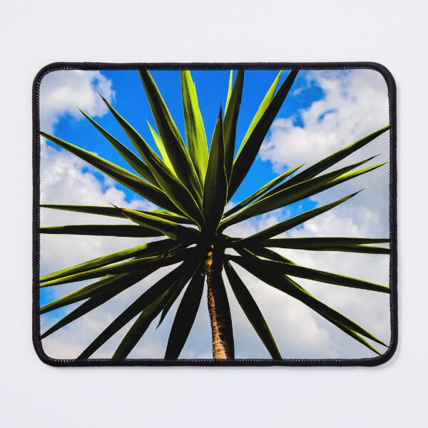 Item preview, Yucca plant Spanish Bayonet 115 designed and sold by RichFrancoCars.