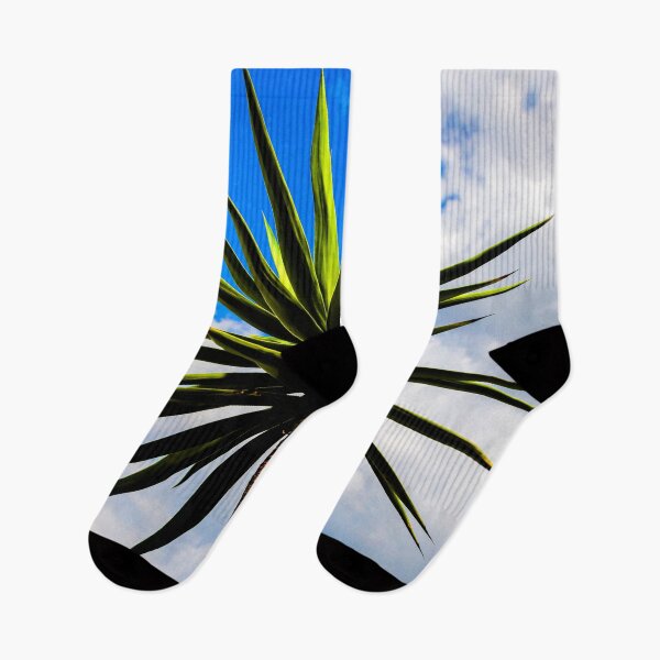 Item preview, Yucca plant Spanish Bayonet 115 designed and sold by RichFrancoCars.