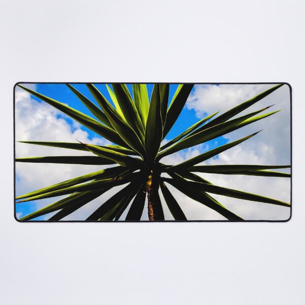 Item preview, Yucca plant Spanish Bayonet 115 designed and sold by RichFrancoCars.