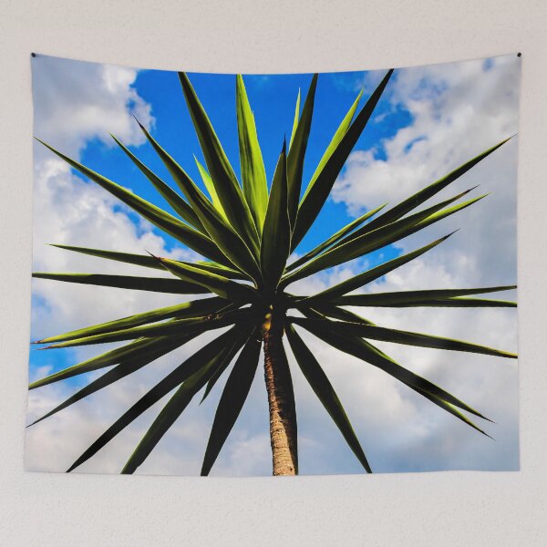 Item preview, Yucca plant Spanish Bayonet 115 designed and sold by RichFrancoCars.