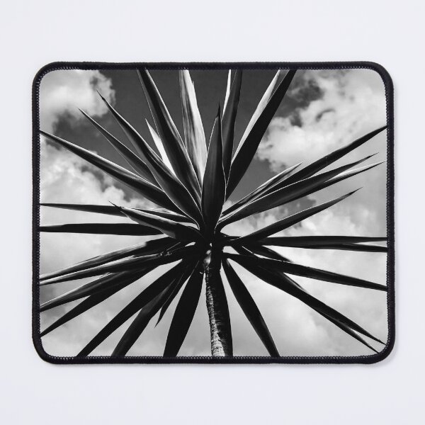 Item preview, Yucca plant Spanish Bayonet 117 designed and sold by RichFrancoCars.