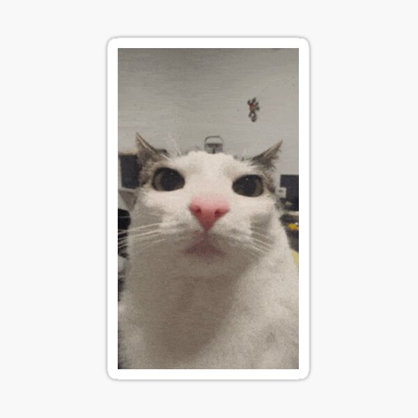 Item preview, cat looking designed and sold by Rinxv.