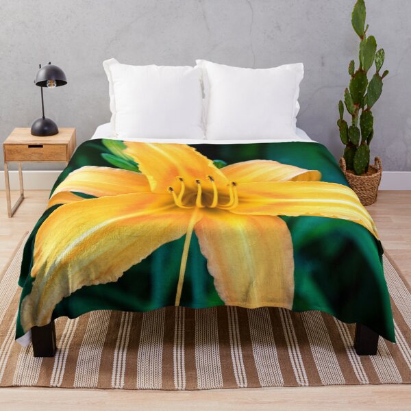 Item preview, Daylily Hemerocallis Stella de Oro X109 designed and sold by RichFrancoCars.