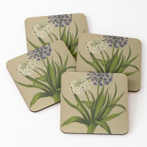 Item preview, Scilla Flower Scientific Vintage Illustration designed and sold by Lacasadellora.