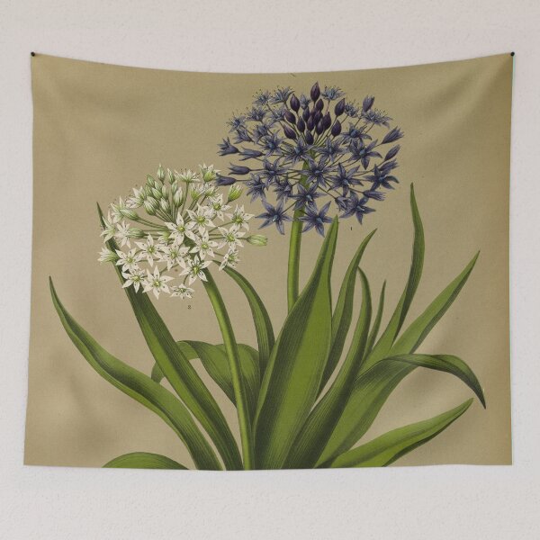Item preview, Scilla Flower Scientific Vintage Illustration designed and sold by Lacasadellora.