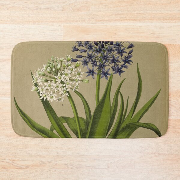 Item preview, Scilla Flower Scientific Vintage Illustration designed and sold by Lacasadellora.