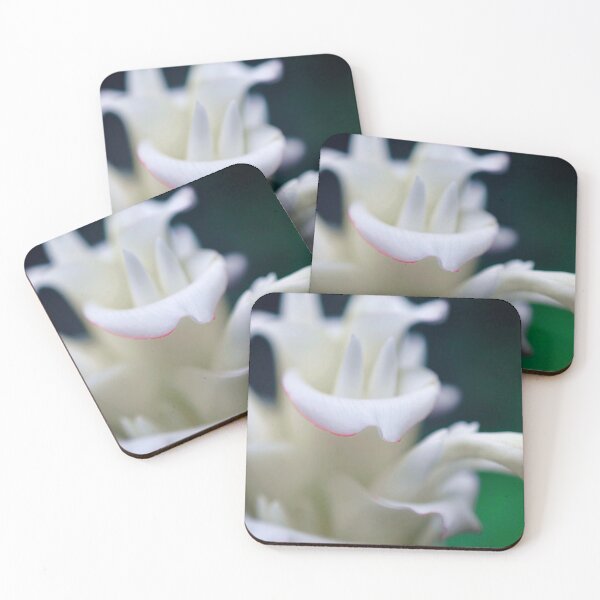 Item preview, Fountain Flower designed and sold by SageFolio.