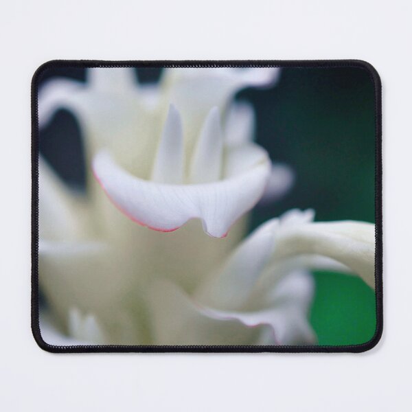 Item preview, Fountain Flower designed and sold by SageFolio.