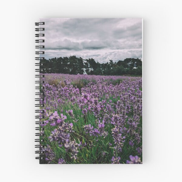 Item preview, Lavender Field designed and sold by Jsptr12.