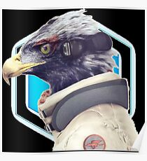 ~ Star Fox: Falco ~ Poster