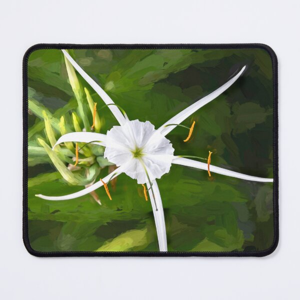 Item preview, White Spyder Lilies X135 designed and sold by RichFrancoCars.
