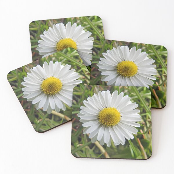 Item preview, Daisy designed and sold by CreativeEm.