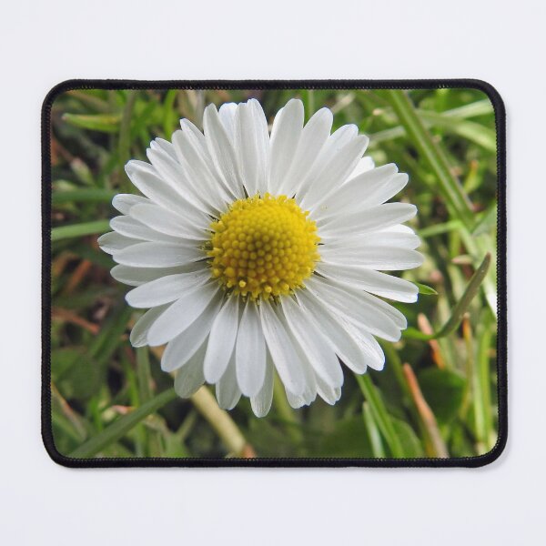 Item preview, Daisy designed and sold by CreativeEm.