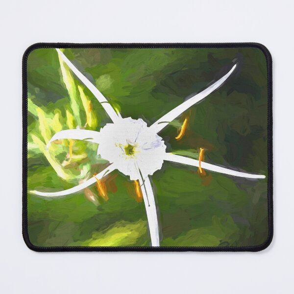 Item preview, White Spyder Lilies X137 designed and sold by RichFrancoCars.